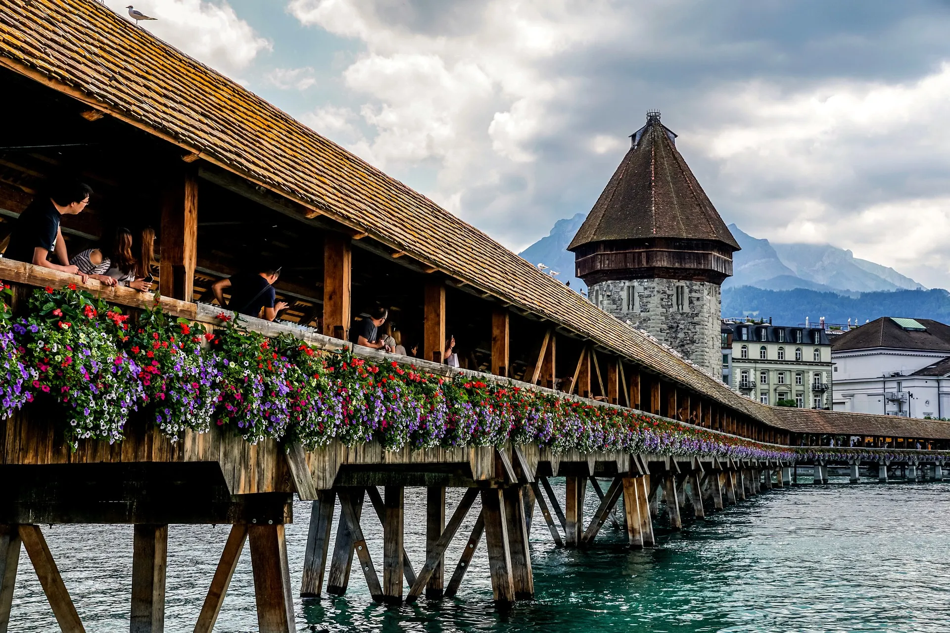 Lucern