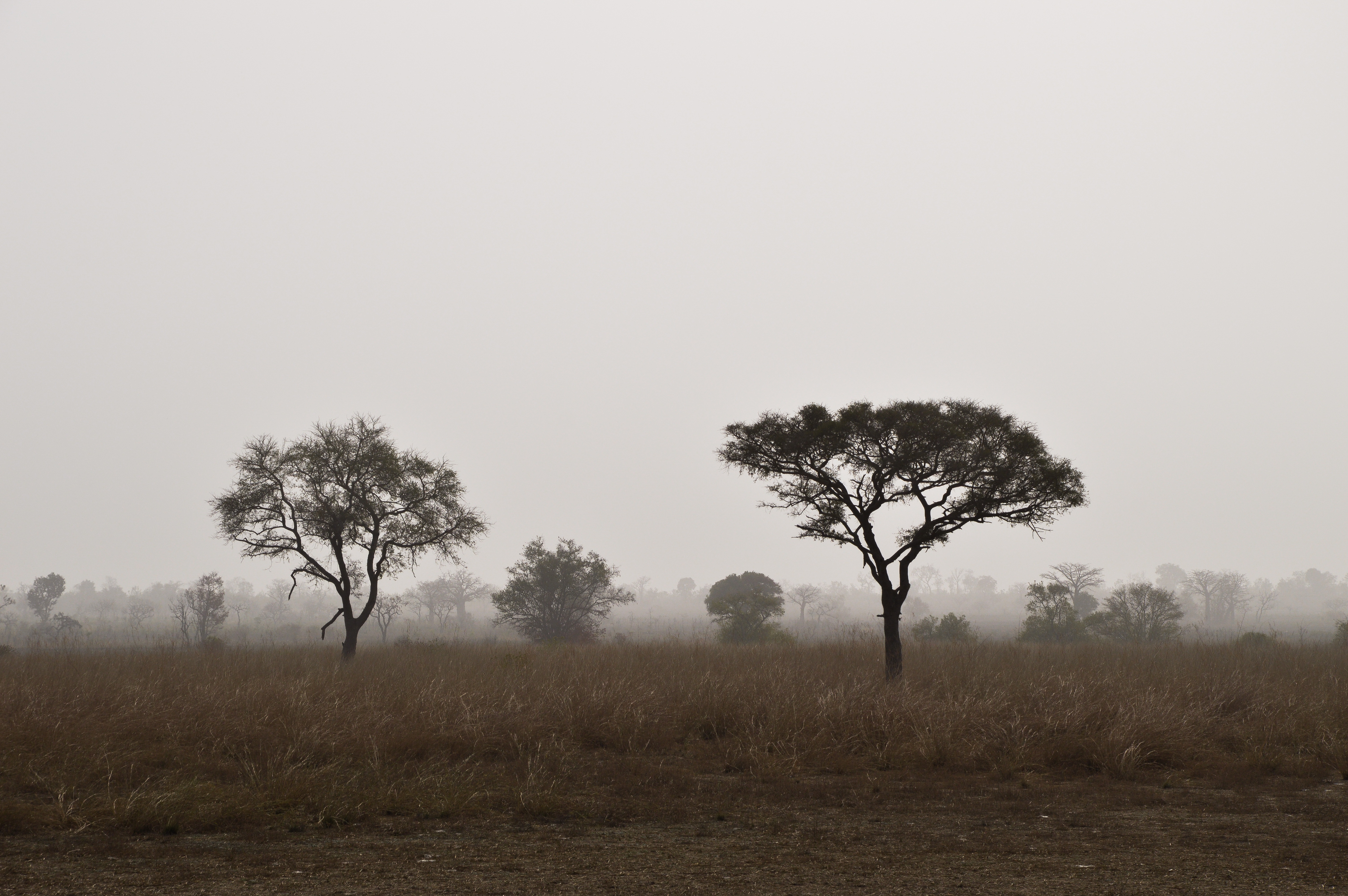 Benin