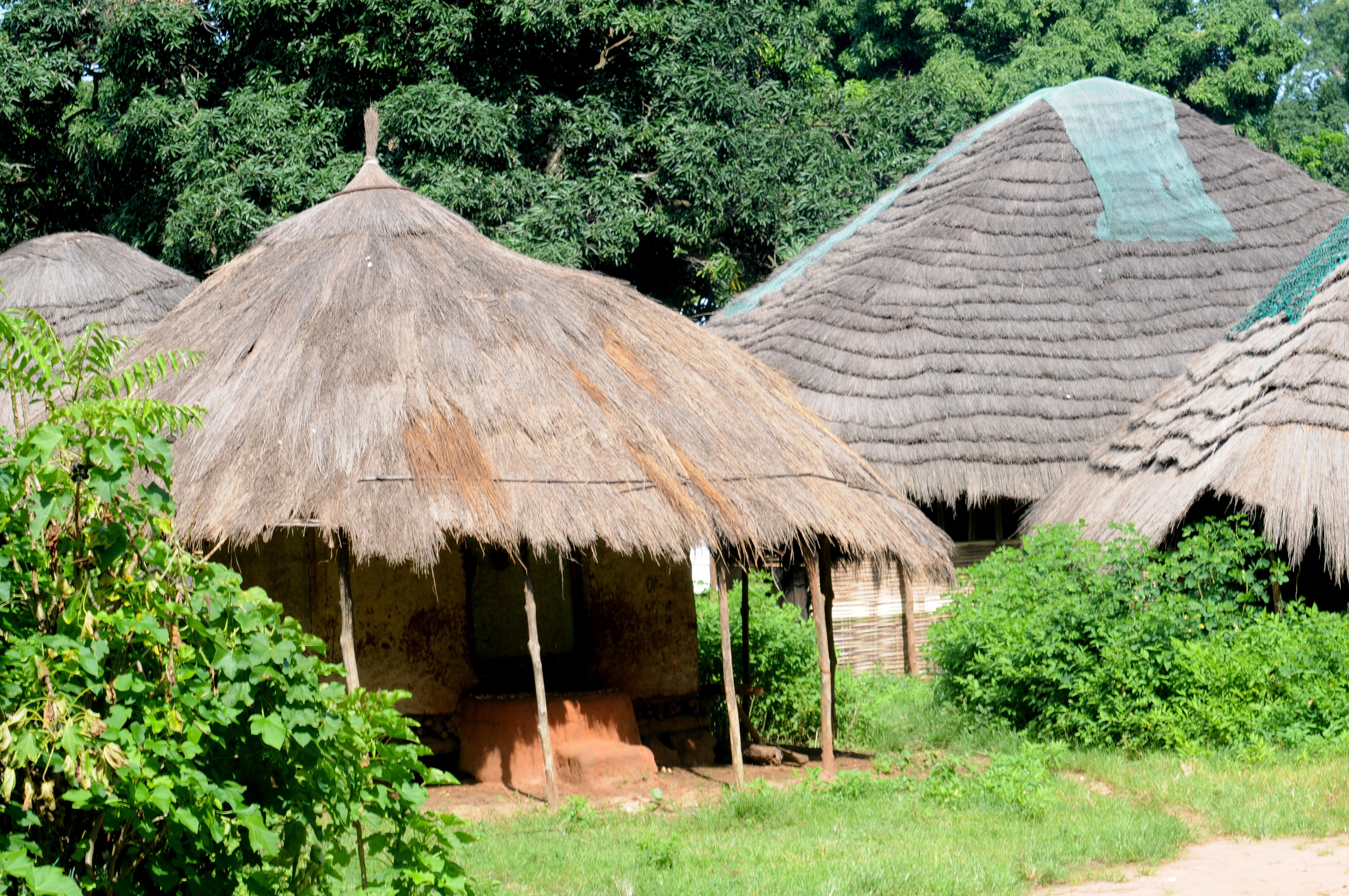 Guinea-Bissau