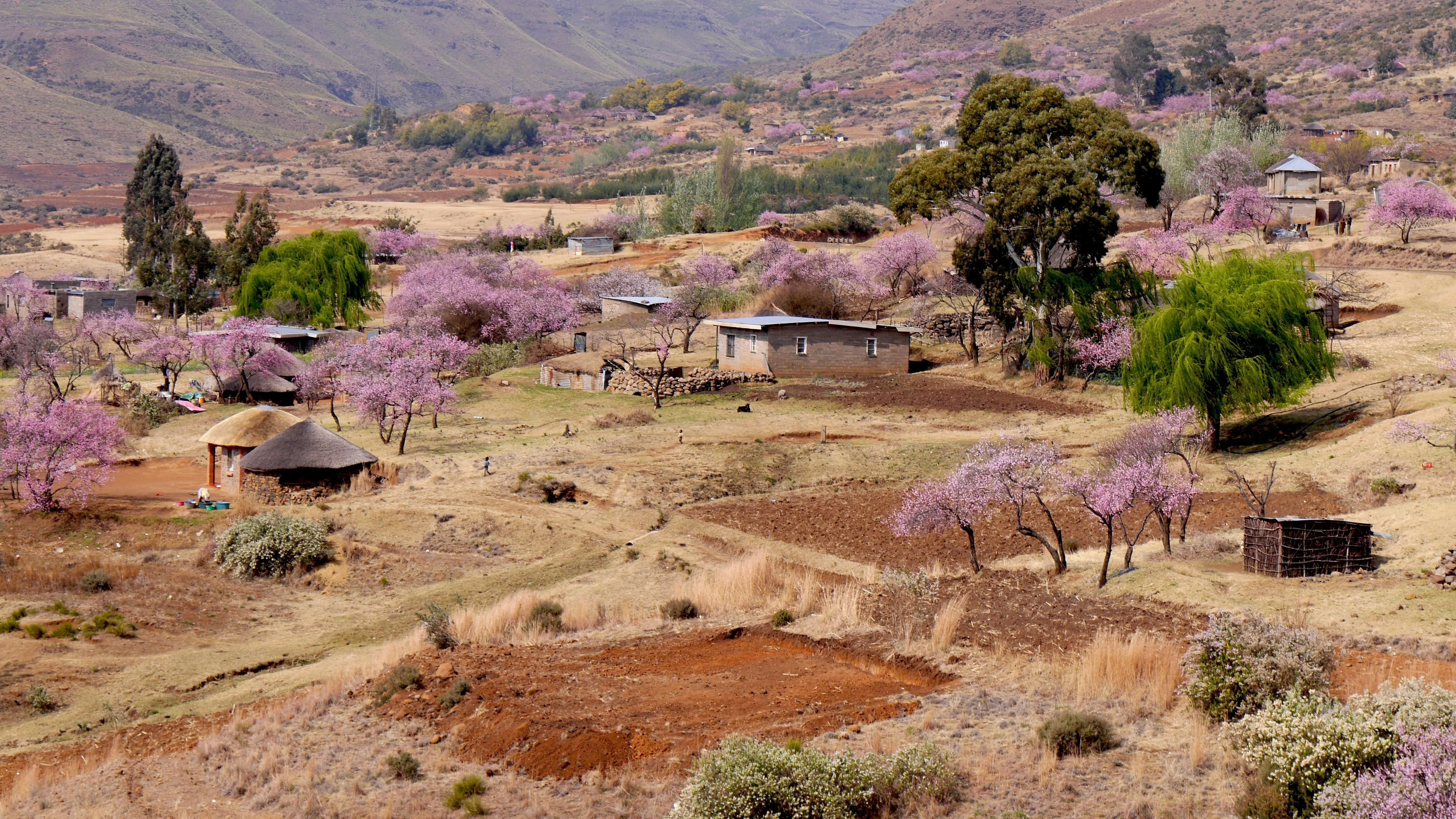 Lesotho