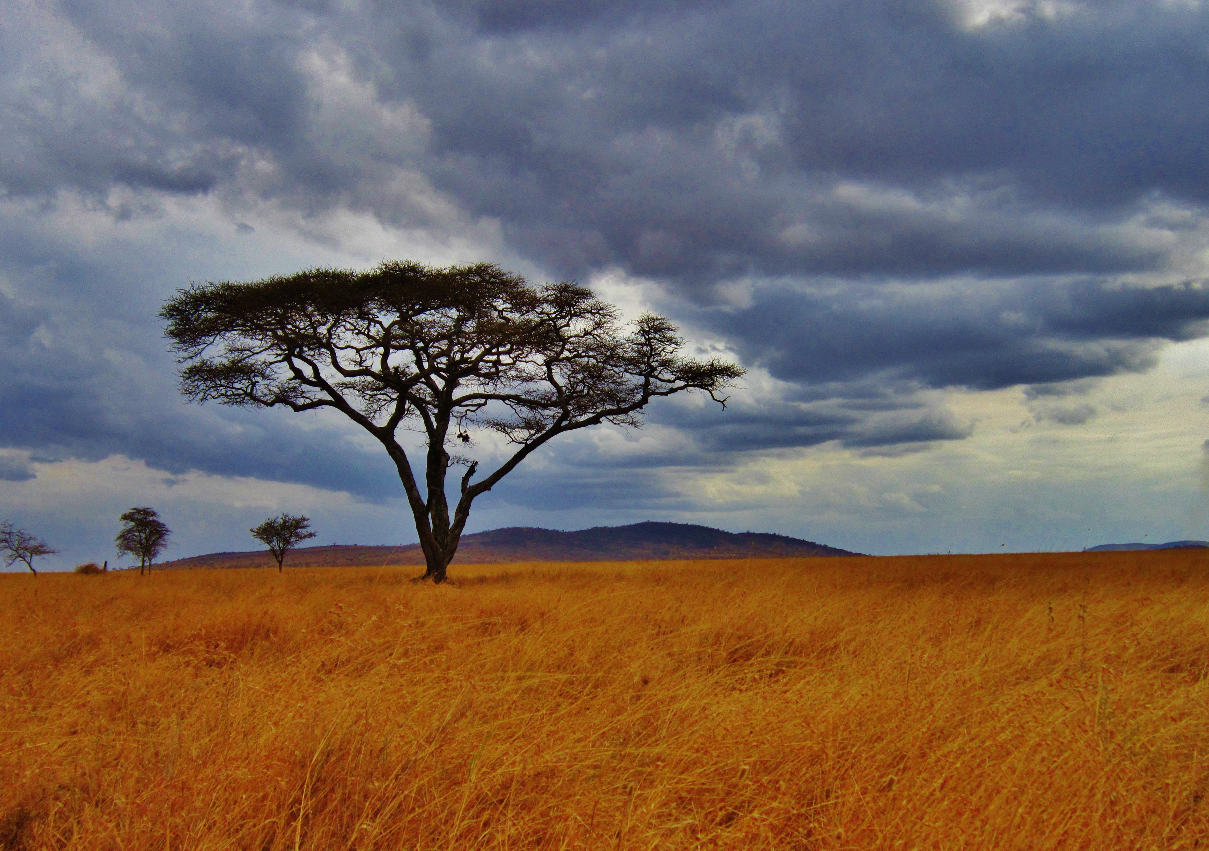 Tanzanie